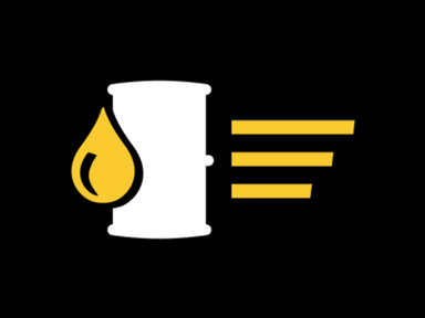 trapoFit Ölwechsel Icon
