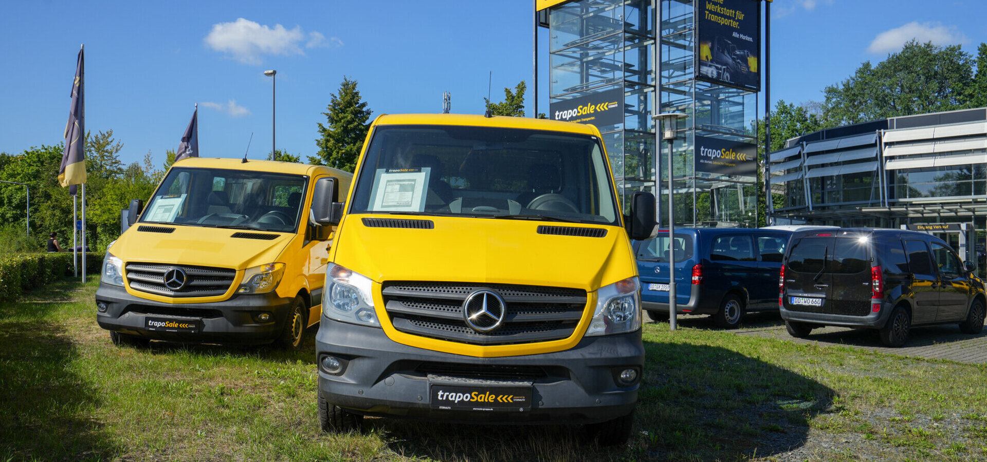 STERNAUTO in Dresden - trapoSale Transporter-Verkauf
